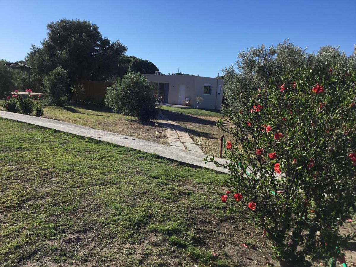 Oikia Ampavris Villa Kos Bagian luar foto